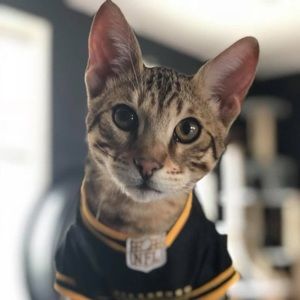 Meet your Posher, Rebecca